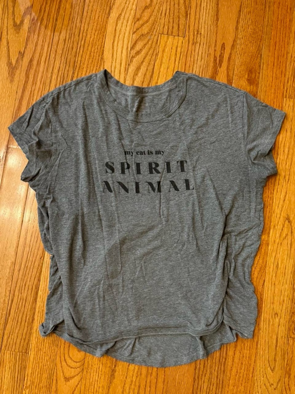 american eagle silly grey graphic tee!!!